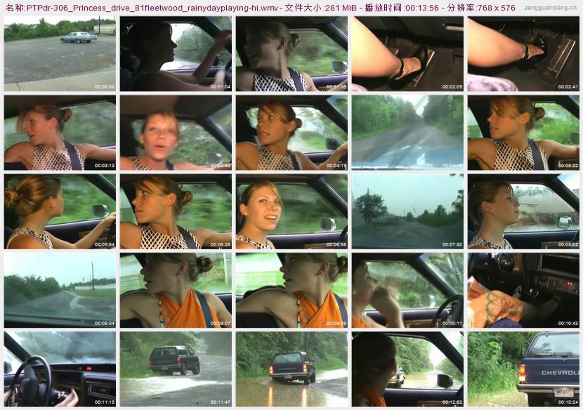 ptpdr-306_Princess_drive_81fleetwood_rainydayplaying